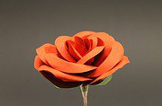 Echt wirkende Papierrosen