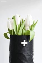 Vasenschmuck
