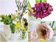 Frühling bei den [Foodistas]