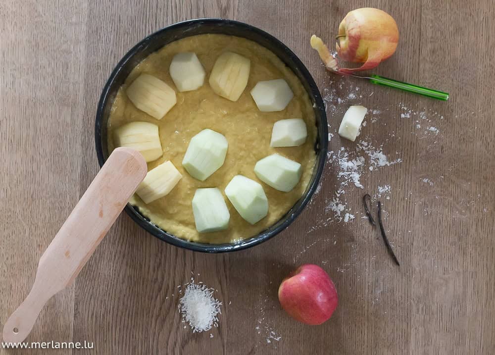 Kokos-Apfelkuchen