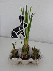 Tangram Hase