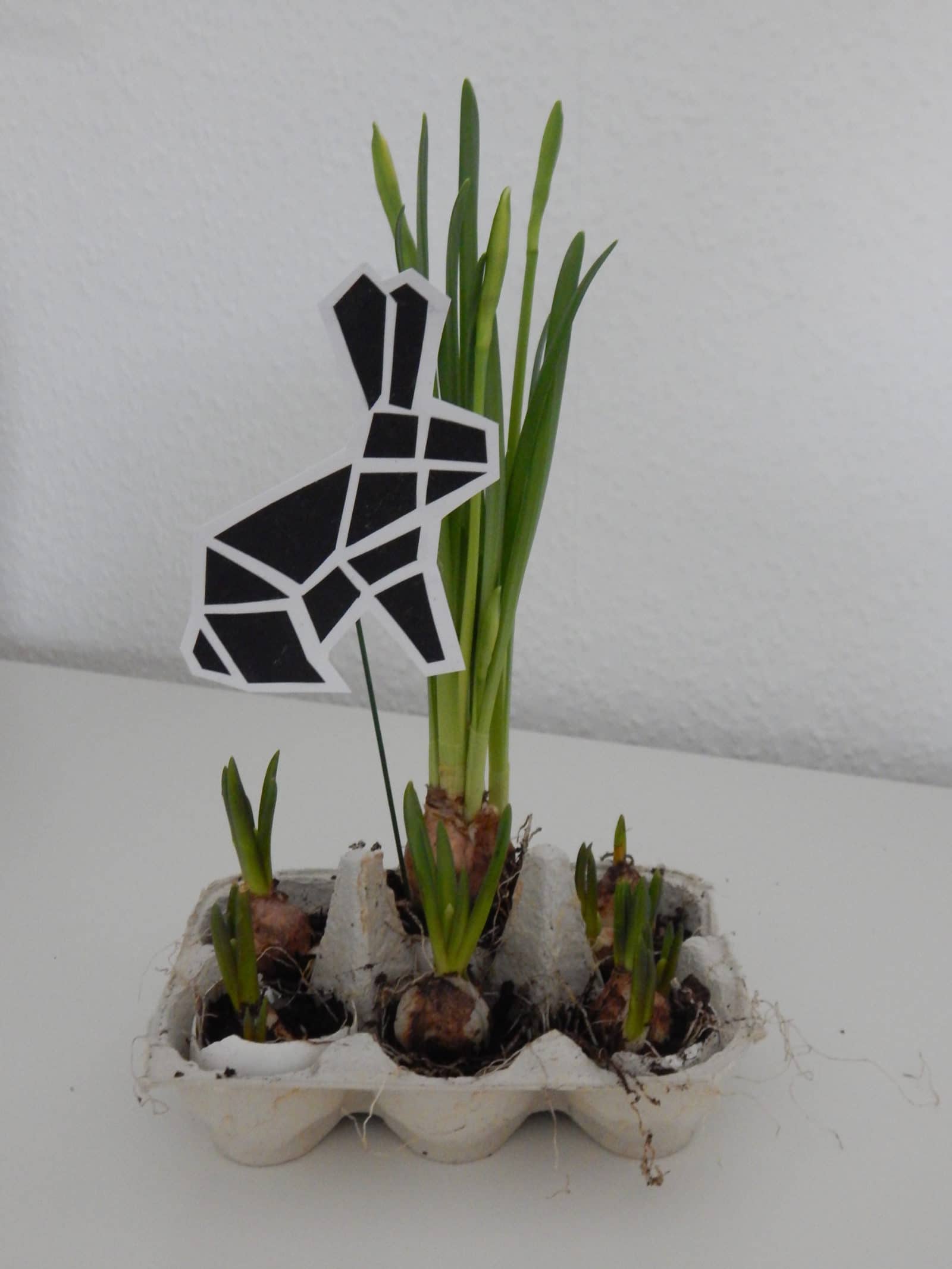 Tangram Hase
