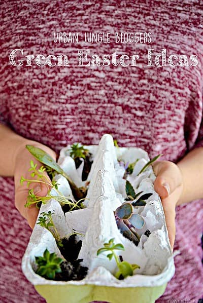 Urban Jungle Bloggers #3 | Green Easter Ideas