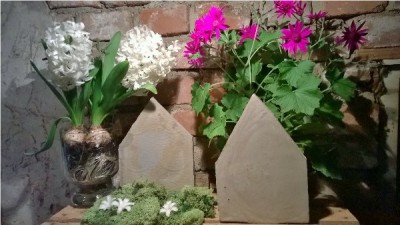 Zwei blühende Pflanzen in dekorativen Töpfen vor einer Ziegelmauer, ideal für Garten- oder Balkondekoration.