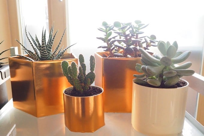 DIY Blumentopf in neuem Gewand – es wird geometrisch