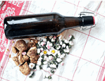 Gänseblümchen Sirup