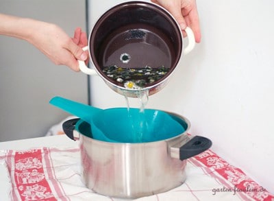 Gänseblümchen Sirup wird in einem Topf mit Wasser gekocht, um den Sirup herzustellen, mit Fokus auf natürliche Zutaten und Handarbeit.