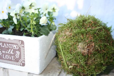 Gras- , Blätter- und Moosbälle