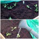 Gärtnern im Quadrat – mein neues 1,35 Quadratmeter-Beet