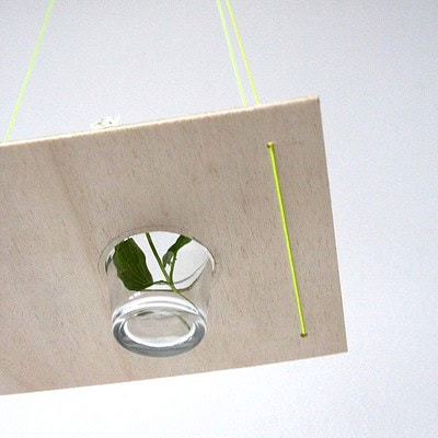 Innovative Blumenampel aus Holz mit Glasbehälter und grüner Pflanze, ideal für kreative Gartendekorationen und nachhaltiges Wohnen.