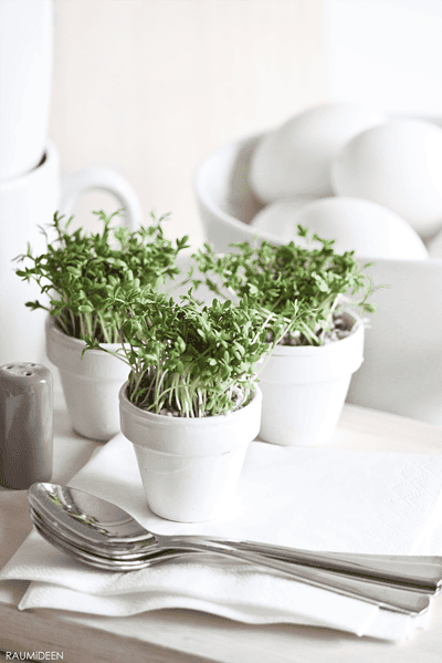 Kleine Kressetöpfe mit frischen Kressepflanzen, ideal für kreative Tischdekorationen und DIY-Geschenke, auf weißem Tisch mit Besteck und Eiern im Hintergrund.