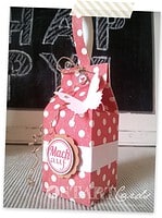 Kleine Milchtüten Geschenkverpackung