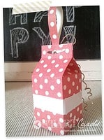 Kleine Milchtüten Geschenkverpackung