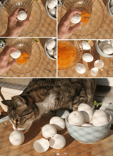 Bunte Eier und eine Katze beim Dekorieren eines Osterkörbchens, kreative Osterdeko, handgemacht, Frühlingsdekoration, Haustier und Eier.