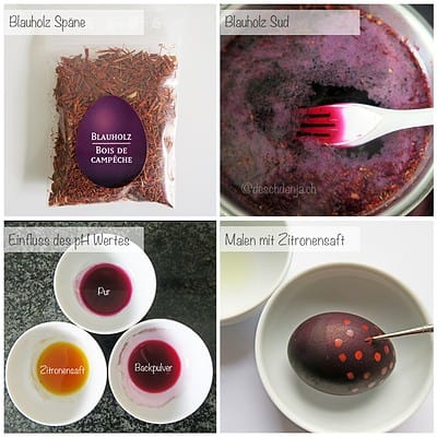 Vorbereitung für Ostereierfärben mit Blauholz, Zitronensaft und pH-Wert-Experimenten, inklusive Blauholzspäne, gefärbtem Ei und pH-Testlösungen.