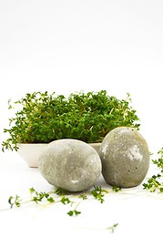 Ostern DIY - Betonei im Kressenest