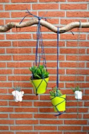 Urban Jungle Bloggers #2 | hanging planters