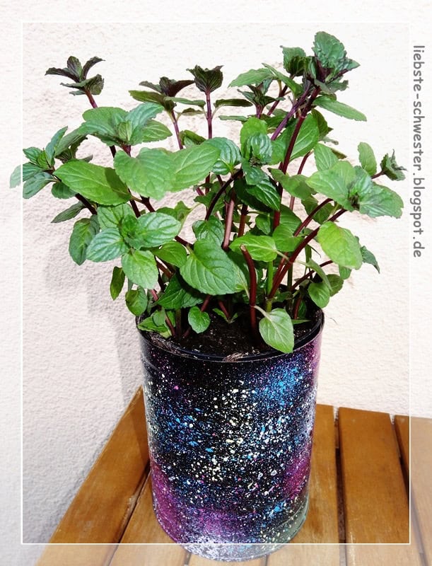 Upcycle Pflanzgefäß