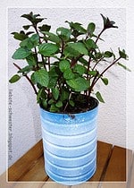 Upcycle Pflanzgefäß