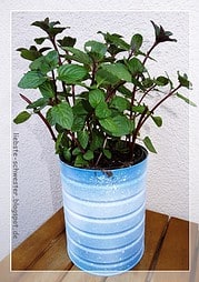 Upcycle Pflanzgefäß