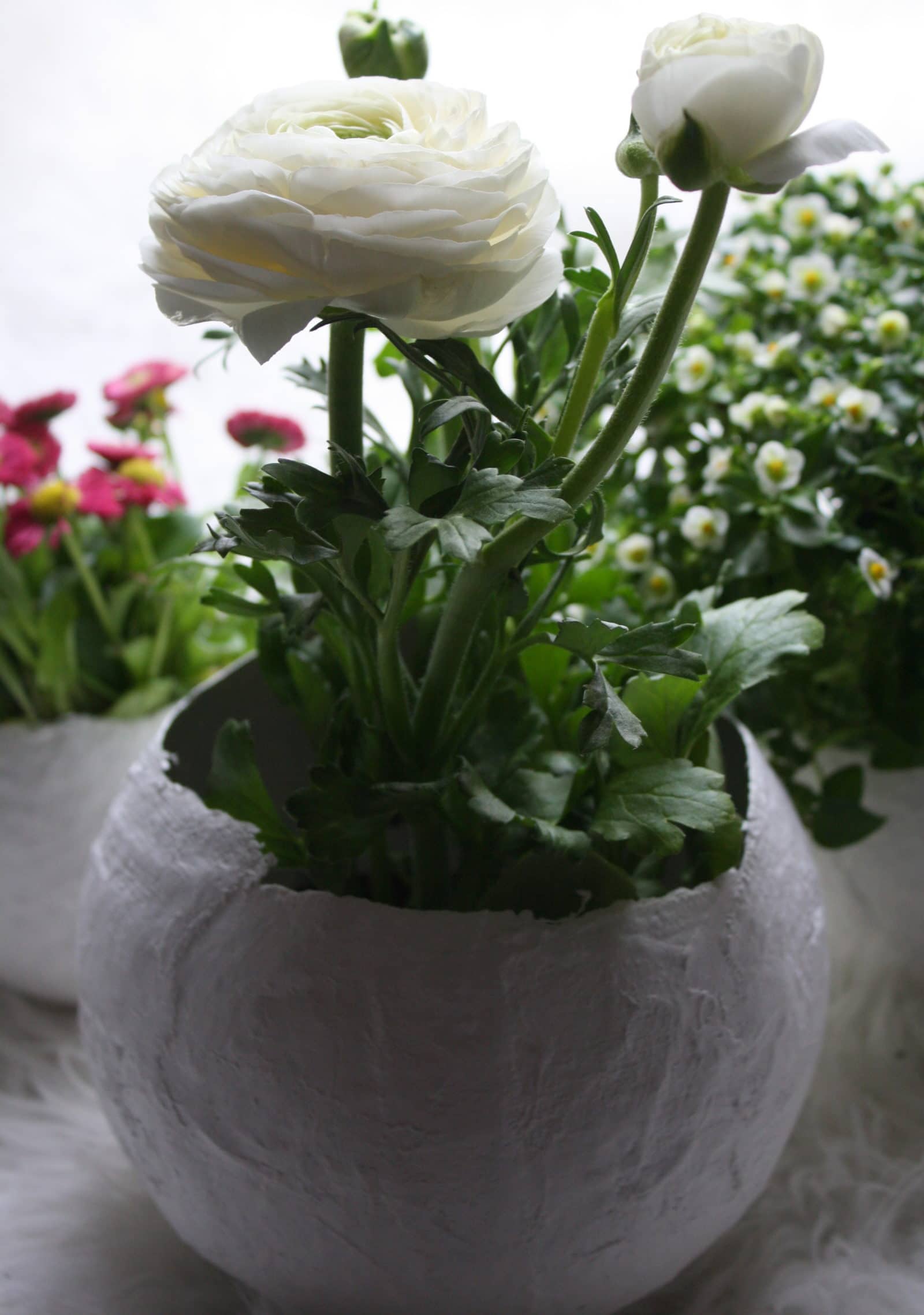 Blumentöpfe aus Gips - HANDMADE Kultur