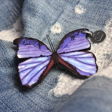 Brosche Schmetterling Blau