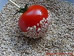 Crispy-Tomato-Pops
