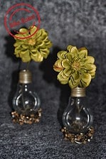Elegante Glühbirnen- Vase