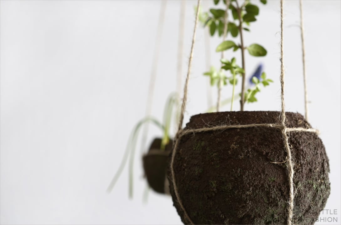 Kokedama pflegeleicht… DIY string garden