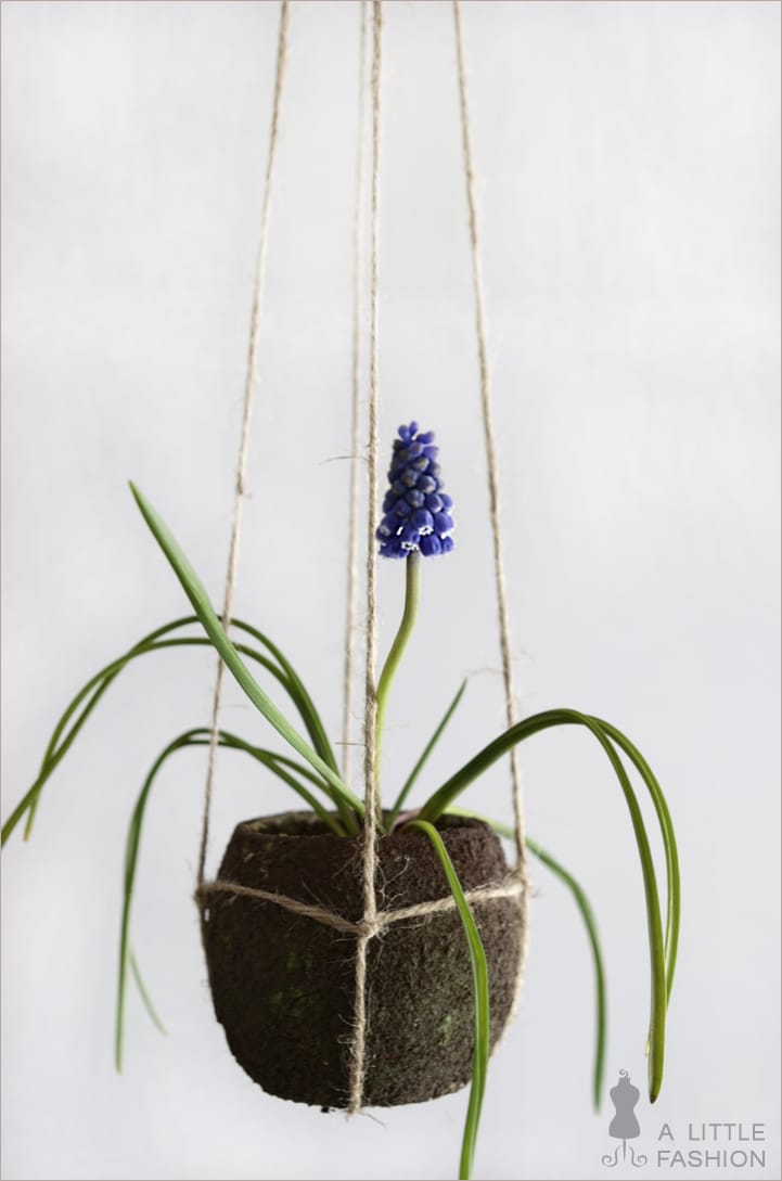 Kokedama pflegeleicht… DIY string garden