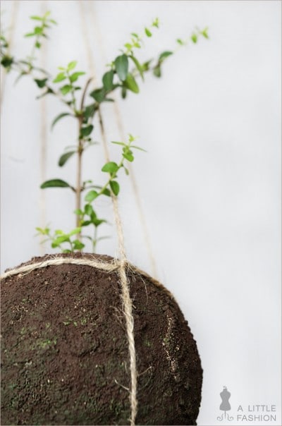 Kokedama pflegeleicht… DIY string garden