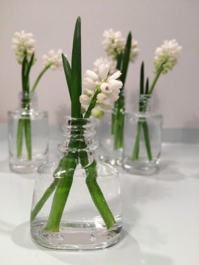 Vase Nagellackfläschchen01