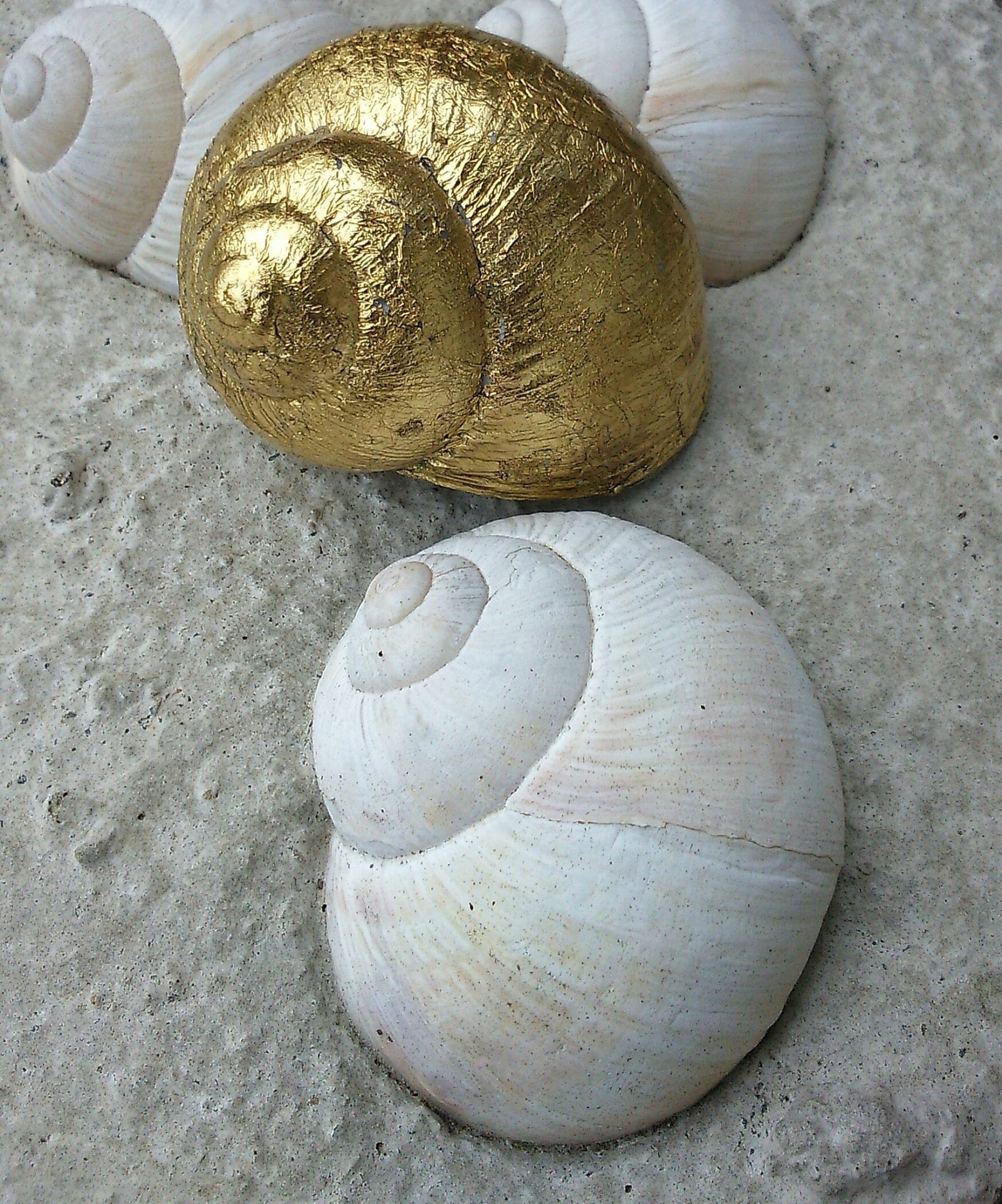 goldige Schneckenhäuser