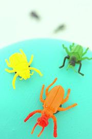 ein Magnetglobus – Krabbelalarm