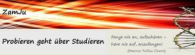 Probieren geht über Studieren