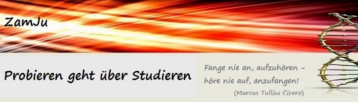 Probieren geht über Studieren