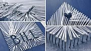 String Art Haus