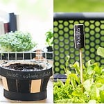 Upcycling mit Tafellack