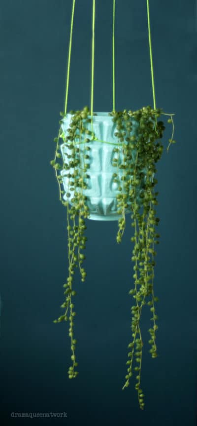 Alte Deckenlampe goes Pflanzenampel