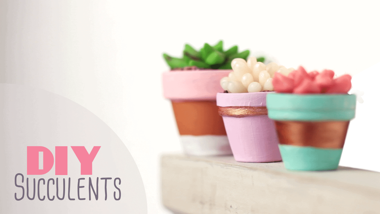 DIY: Sukkulenten und Kakteen Deko