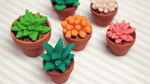 DIY: Sukkulenten und Kakteen Deko