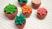 DIY: Sukkulenten und Kakteen Deko