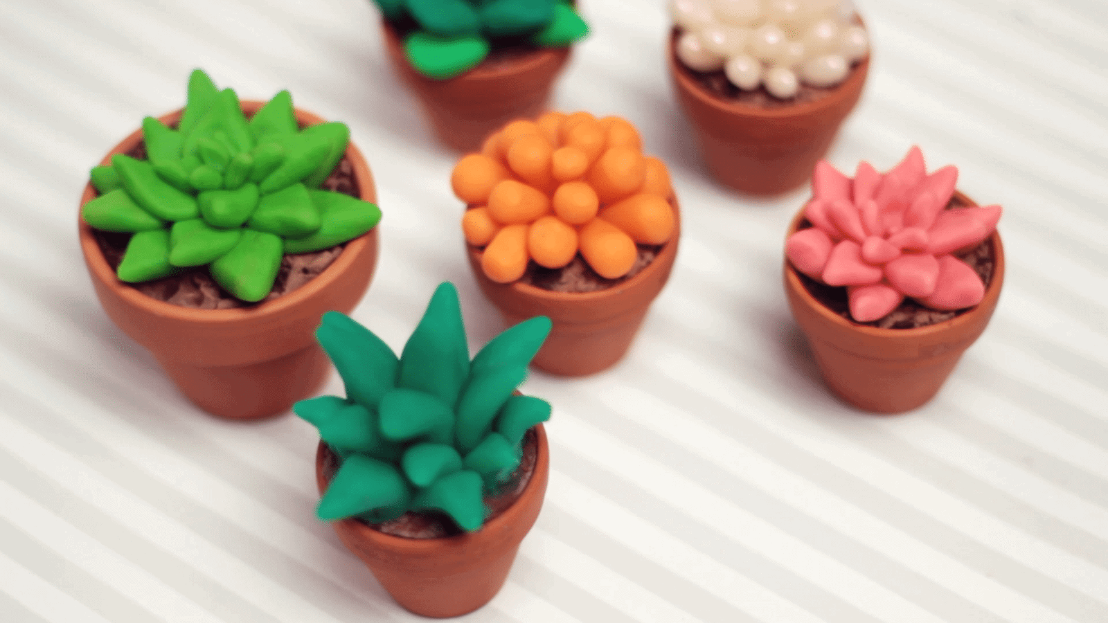 DIY: Sukkulenten und Kakteen Deko
