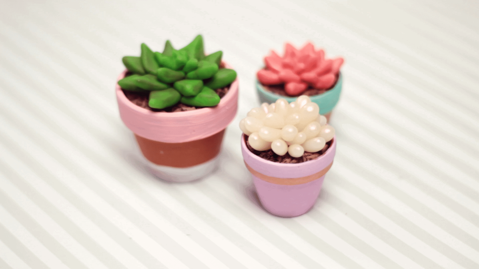 DIY: Sukkulenten und Kakteen Deko