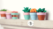 DIY: Sukkulenten und Kakteen Deko