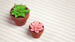 DIY: Sukkulenten und Kakteen Deko