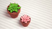 DIY: Sukkulenten und Kakteen Deko