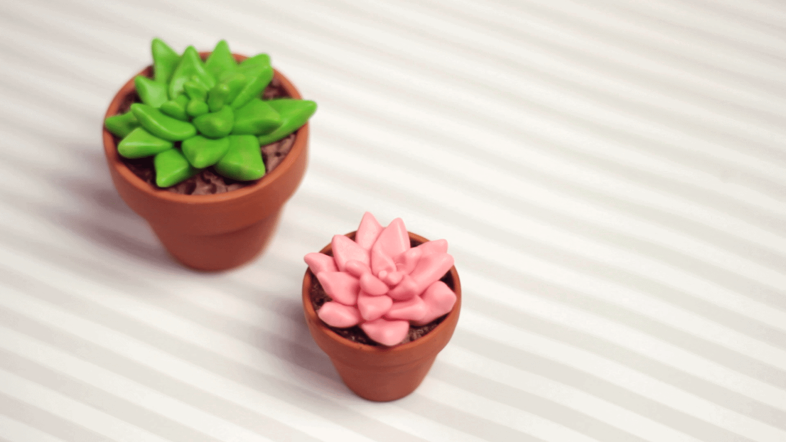 DIY: Sukkulenten und Kakteen Deko
