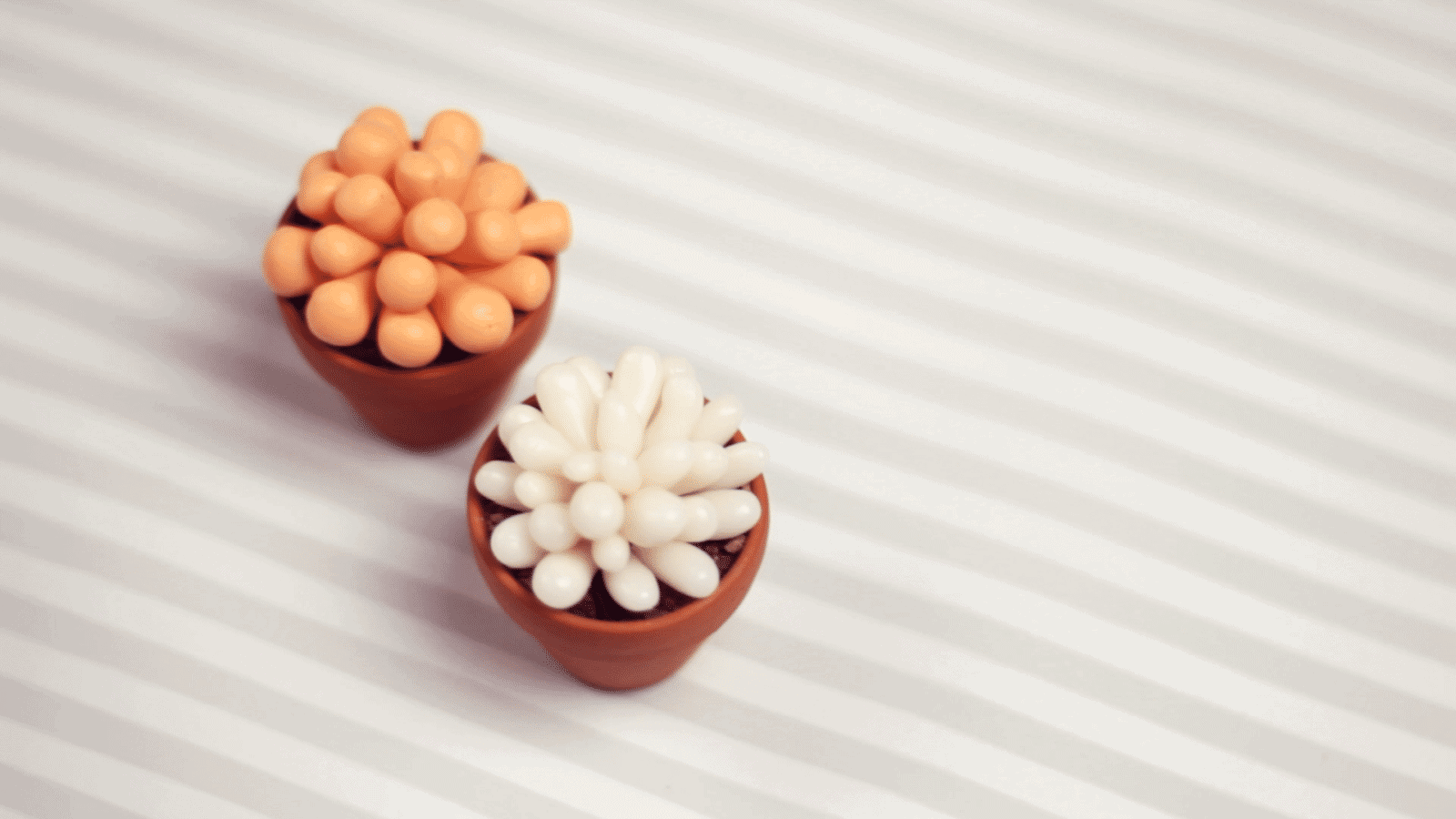 DIY: Sukkulenten und Kakteen Deko