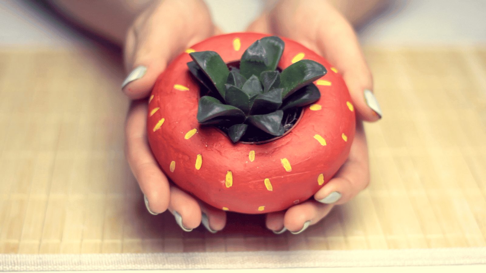DIY: Fruchtige Blumentöpfe für Sukkulenten